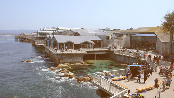 The world famous Monterey Bay Aquarium